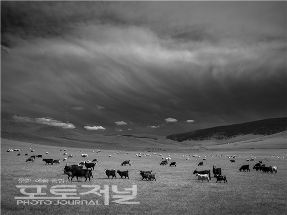 이봉준, 몽골의 평화, 2022
